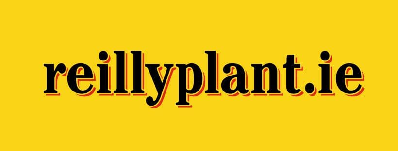 ReillyPlant.ie